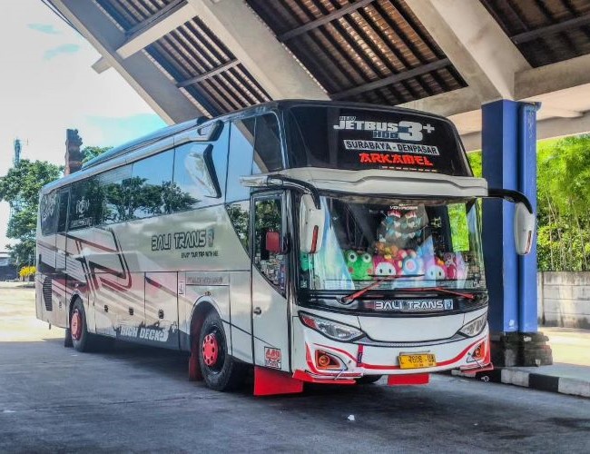 Bali Trans Bus Surabaya Denpasar - Photo by Instagram