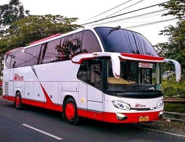 Mtrans Bus Surabaya Denpasar - Photo by Instagram