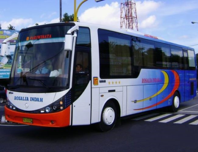 Rosalia Indah Bus Surabaya Semarang - Photo by Imotorium