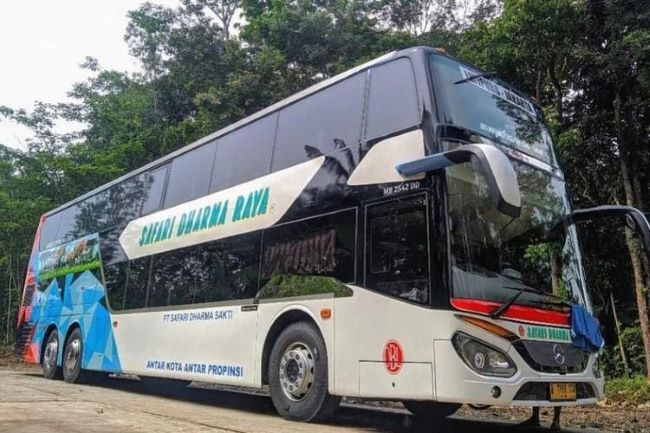 Safari Dharma Raya Bus Surabaya Denpasar - Photo by GridOto