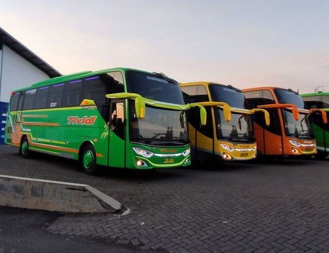 Tividi Bus Surabaya Solo - Photo by Kompas Otomotif
