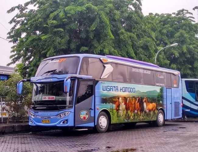 Wisata Komodo Bus Surabaya Bali - Photo by Facebook