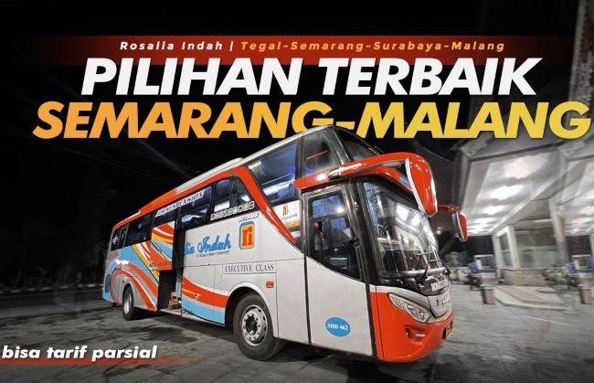 Rosalia Indah Bus Semarang Malang - Photo by YouTube